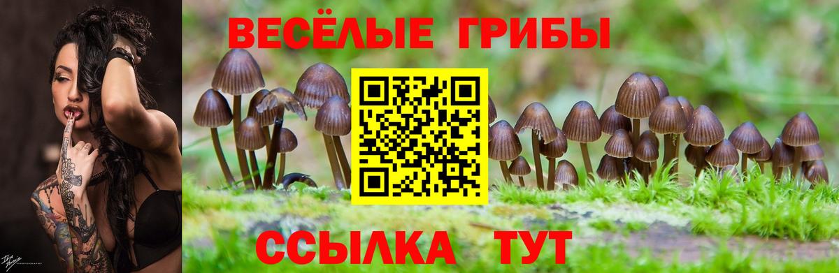 Зеленодольск  Галлюциногенные грибы Cubensis  Вход с VPN 